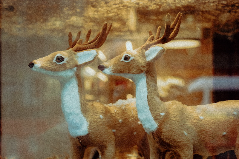 animals in the wild, dear, moose, elk, christmas, group of animals, brass section, antelope, wildlife, close-up, musical instrument, indoors, focus on foreground