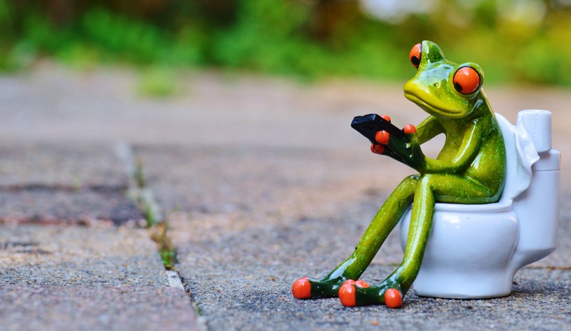 mobile phone, surface level, pepper, wc, amphibian, close-up, figurine, representation, focus on foreground, healthy eating, selective focus, toilet, creativity