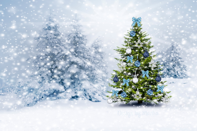 christmas decoration, woodland, outdoors, blizzard, pine Tree, snowing, bright, cold temperature, december, backgrounds, landscape, 4K, weather, year