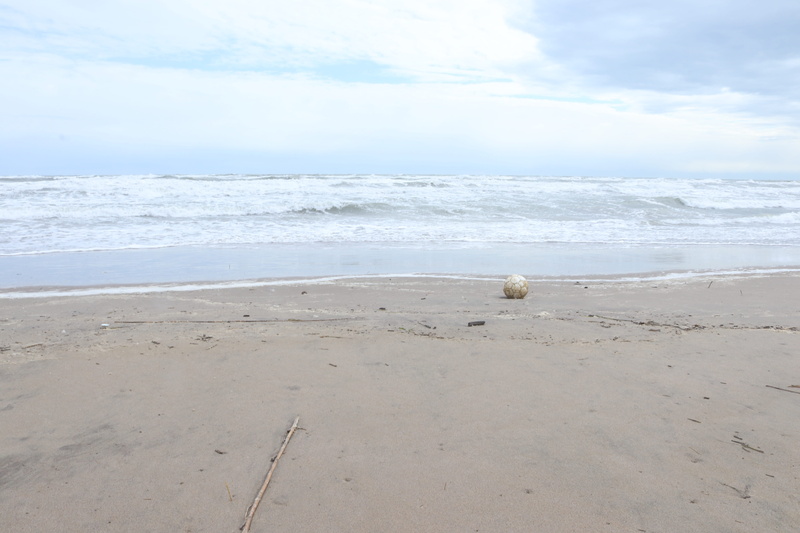 outdoors, sand, game is over, cloud - sky, animal themes, horizon, scenery, land, clouds, promontory, rosolina, ball, landscape, tranquility, motion, nature