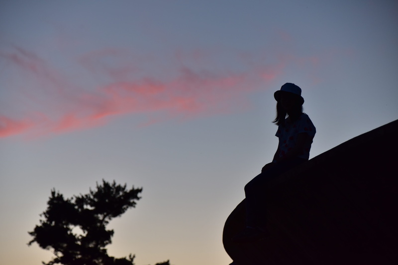 technology, outdoors, low angle view, beauty in nature, tree, nature, 5K, plant, cornell, one person, tranquility, portrait, silhouette, american campus