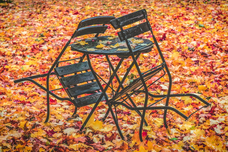 over, closed, leaf, leaves, nature, park, done, yellow, change, autumn, leaning, black, october, plant part, land, golden, season done, finish, brown, environment