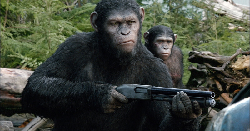 weapons, nature, sitting, vertebrate, Dawn of the Planet of the Apes, 1080P, ape, primate, looking, rainforest, focus on foreground, mammal, people, animals in the wild