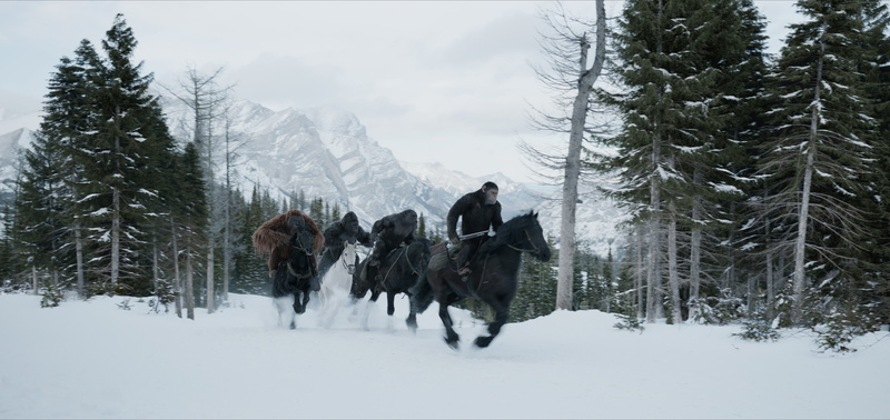 War for the Planet of the Apes, 5k, 5K