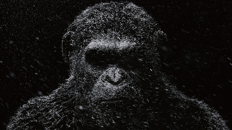 illustration, 4K, photo, War for the Planet of the Apes, ape, 4k