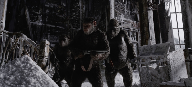 4k, gorilla, 2K, snow, War for the Planet of the Apes