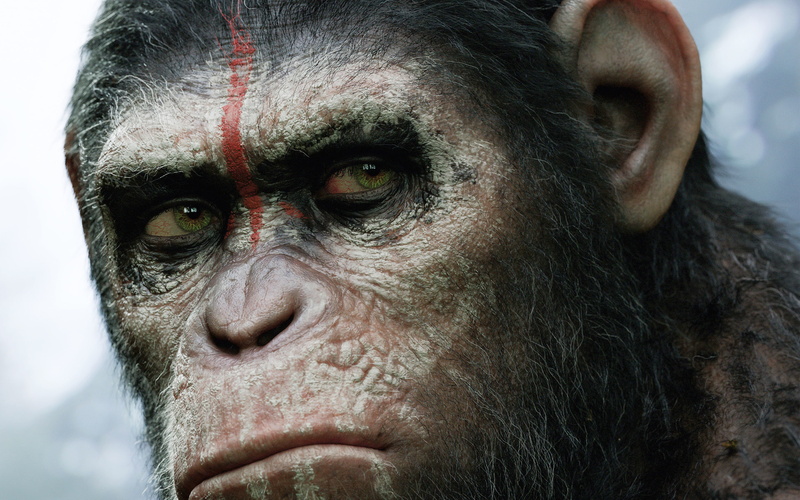 dawn, 2K, 2014, planet, apes
