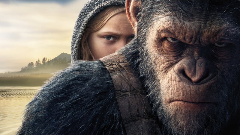 close-up, warm clothing, 480P, young adult, primate, outdoors, animal wildlife, Movies, apes, day, real people, mammal, headshot, portrait, caesar, planet