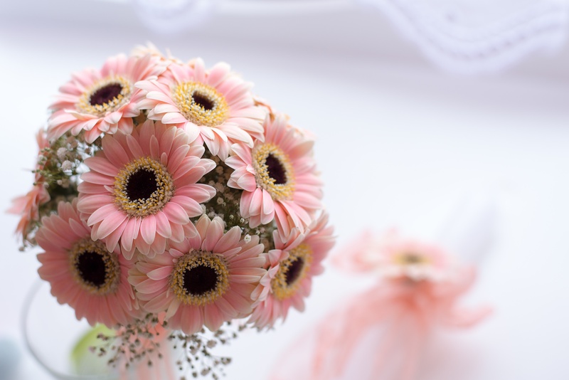focus, photography, pink color, ceremony, freshness, 5K, no people, flower, petaled, flower head, focus on foreground, petal, baptism, nature, flower arrangement