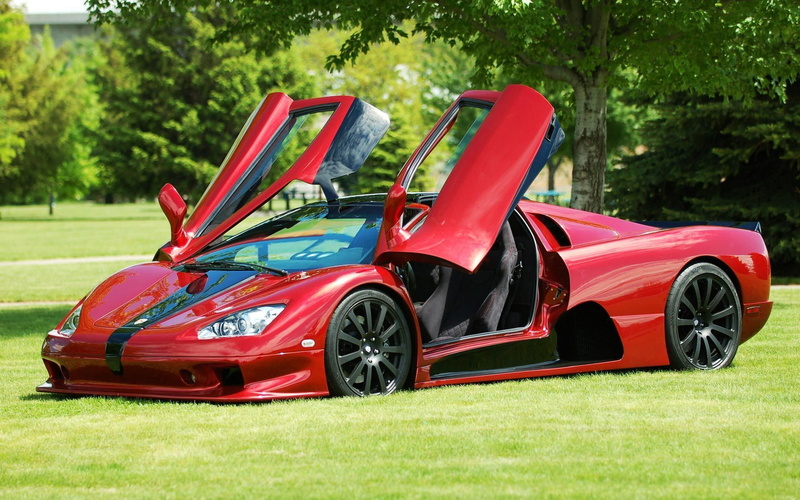Shelby, nature, field, sport, plant, day, land vehicle, green color, outdoors, vehicle, motor vehicle, auto racing, competition, SSC Ultimate Aero TT, red