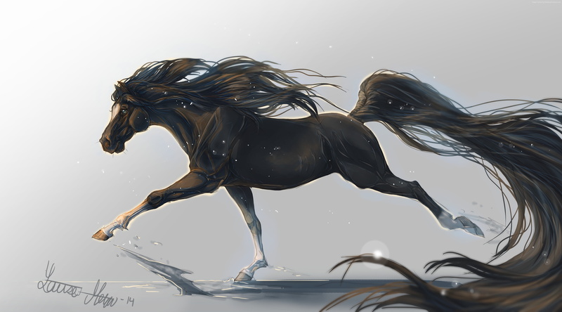 black, white background, horse, 4k, 5k, hooves, mane, 4K, art, galloping