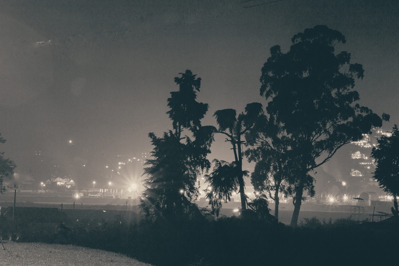 nature, nuwara eliya horse racing course, night, tranquility, tree, street light, field, environment, lighting equipment, plant, sky, growth, 5K, nuwara eliya