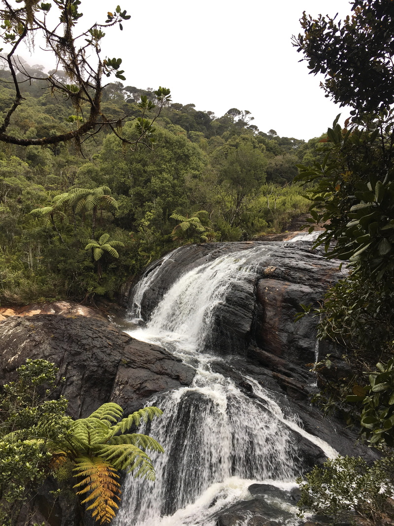 nuwara eliya, waterfall, arbour, conifer, sky, water, motion, tree, flowing, stream, outdoors, flowing water, sri lanka, power in nature, river, creek