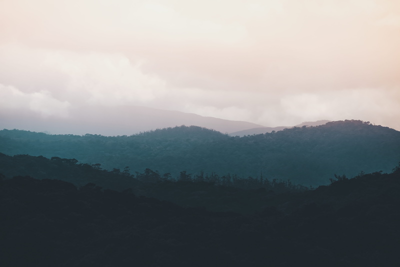 tranquil scene, scenics - nature, mountain, cloud - sky, winter, faded, tranquility, idyllic, mist, plant, mountain range, non-urban scene, cold, 5K, foggy
