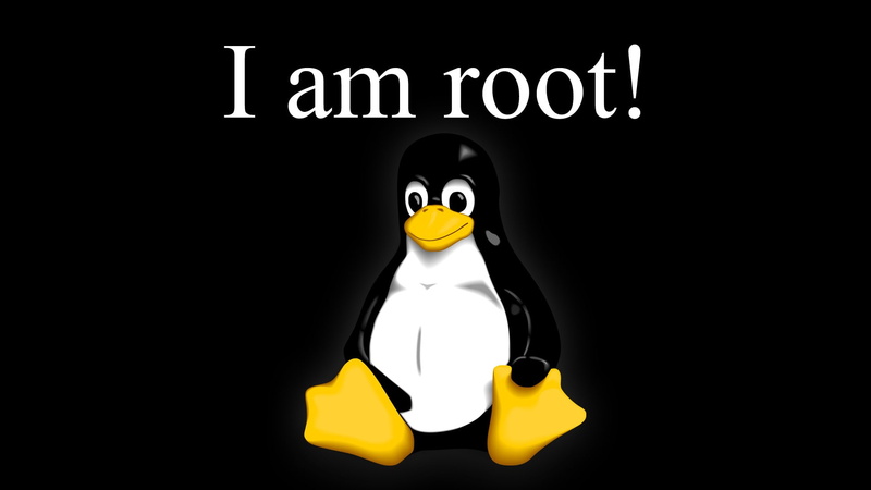 1080P, Root (character), GNU, Linux