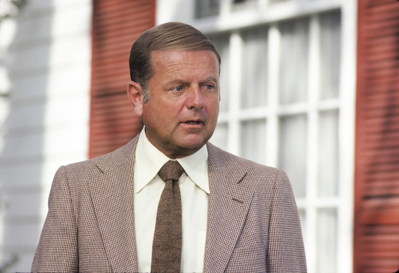 dick van patten, face, male Beauty, business, occupation, celebrity, corporate business, front view, males, menswear, eight is enough, men, looking At Camera