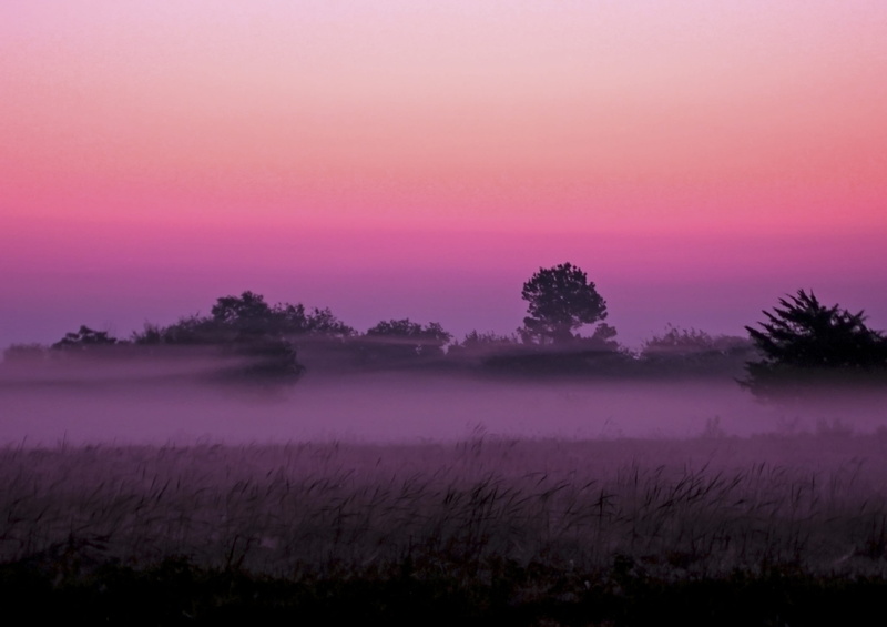 background, Texas, environment, East Texas, lake, sky, nature, non-urban scene, dusk, weather, outdoors, scenics - nature, fog, landscape, tree