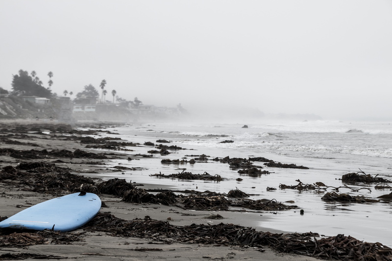 blue, pollution, california, sand, pacific ocean, santa, loneliness, 5K, beach, alone, seashore, villa, sea, animal, black, summer, beauty in nature, rock - object