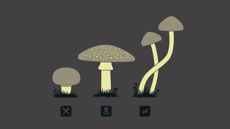 hd, mushrooms, 1080P, shrooms, drugs