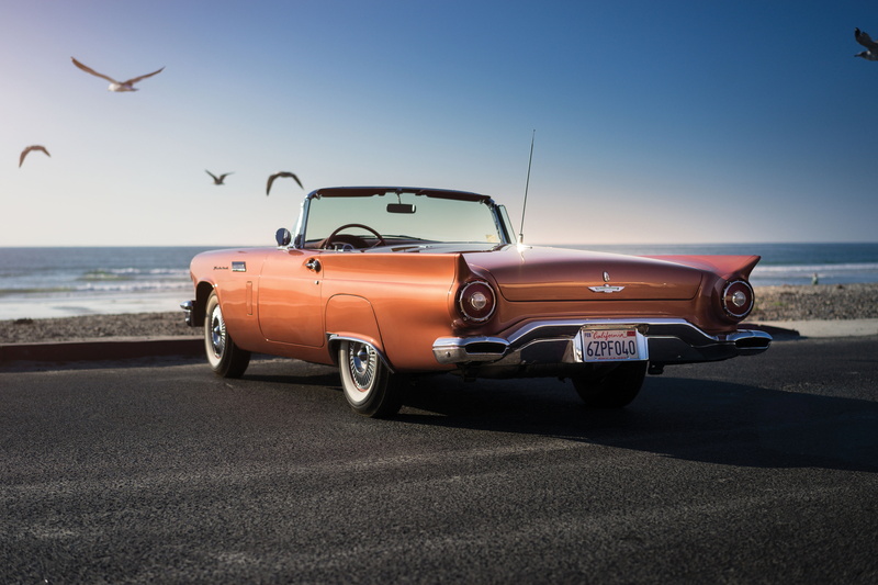 4K, Thunderbird, Ford, Supercharged, 1957, seagulls, classic, T-Bird, Special