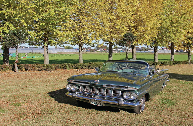 rod, 1959, gangsta, lowrider, chevrolet, rods, 1080P, custom, tuning, impala, hot