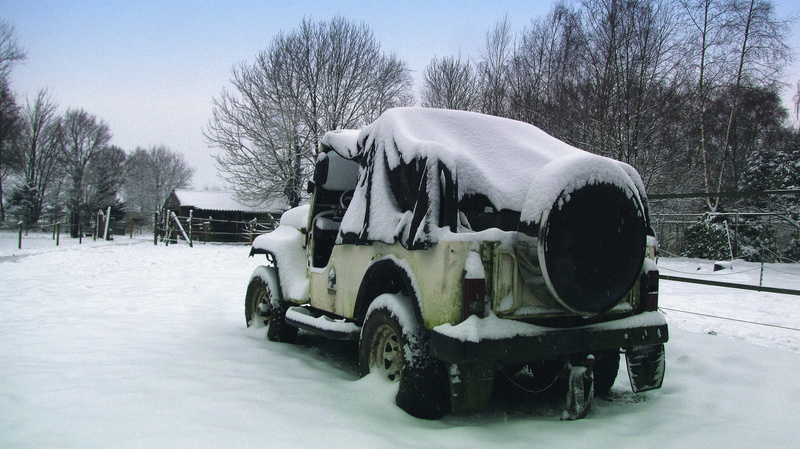 vehicle, mode of transportation, cold temperature, frozen, jammed, transportation, transport, tree, snow, land vehicle, hibernation, blizzard, extreme weather