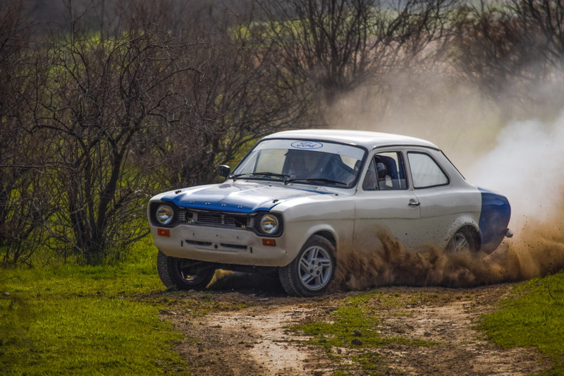 grass, outdoors, nature, rally, vehicle, car, action, day, classic car, land vehicle, growth, tree, plant, motor race, hurry, motor vehicle, land, transportation