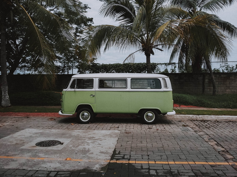 vehicle, classic, landscape, plant, stationary, volkswagen, street, car, vintage, van, road, white, coconut, mode of transportation, land vehicle, plants