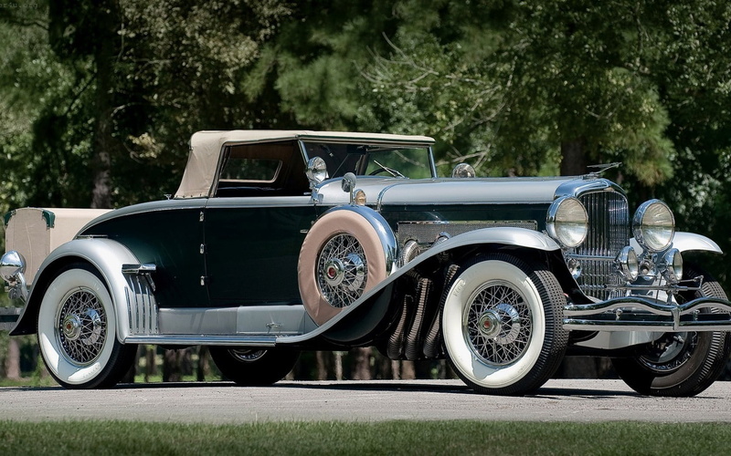 plant, vintage, mode of transportation, retro styled, tire, motor vehicle, luxury, outdoors, vintage car, land vehicle, car, chrome, day, field, no people