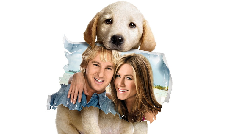 Labrador Retriever, Dog, Owen Wilson, Jennifer Aniston, Movie, 1080P, Puppy, Marley and Me