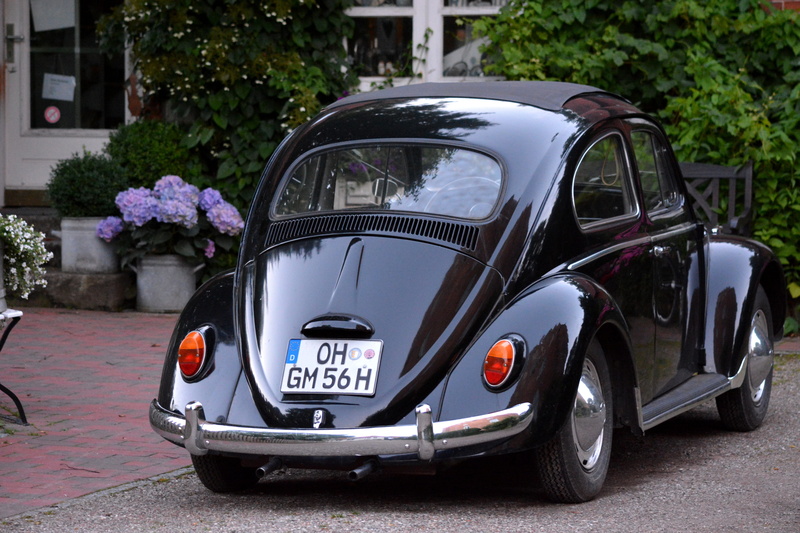 1950, personal land vehicle, city, volkswagen, oldtimer, flower arrangement, building exterior, waiting, car, road, motor vehicle, holstein, stationary