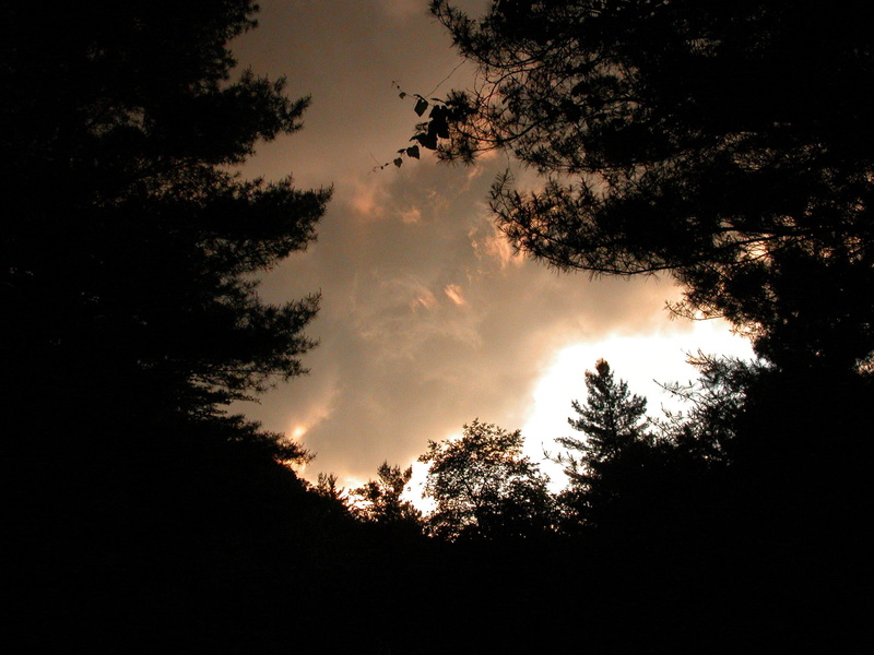 wv, 2K, sky, evening sky, evening, sky pine trees, 3d and abstract