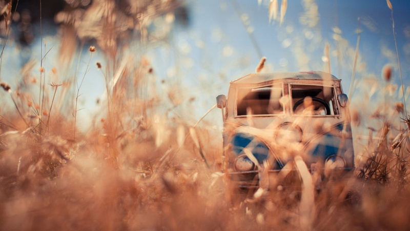1080P, mode of transportation, Toy, rural scene, field, cereal plant, plant, selective focus, car, land vehicle, sunlight, transportation, no people, grass