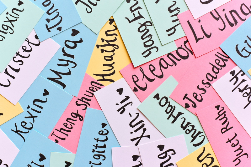 backgrounds, pink color, note, business, close-up, choice, sticky, names, paper, name, cards, lot, typography, multi colored, western script, text, 5K
