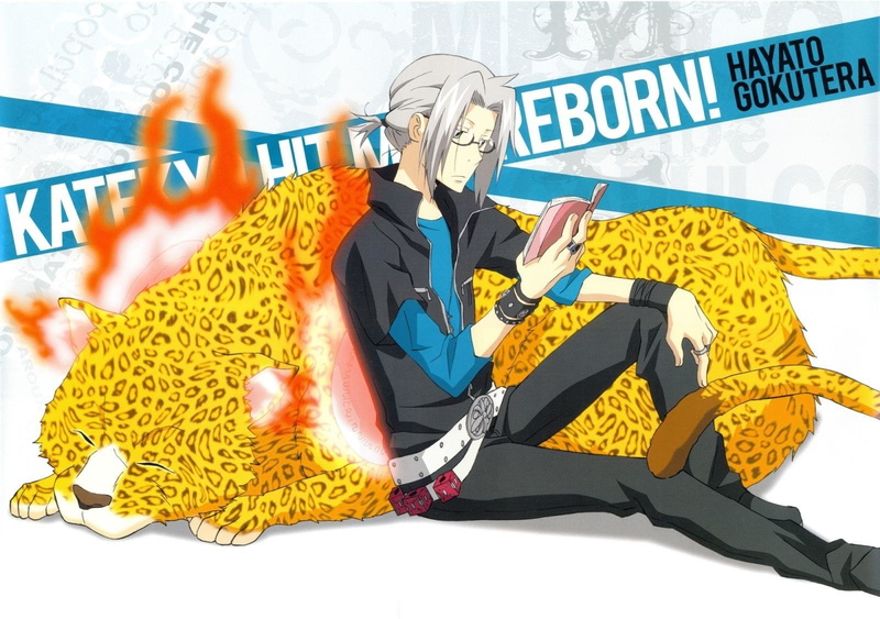 Katekyō Hitman Reborn!, Hayato Gokudera, 720P, Anime