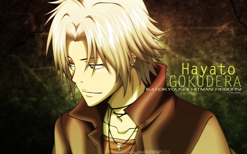 Katekyō Hitman Reborn!, Hitman Reborn, Hayato Gokudera, Hayate the Combat Butler, Anime, 1080P