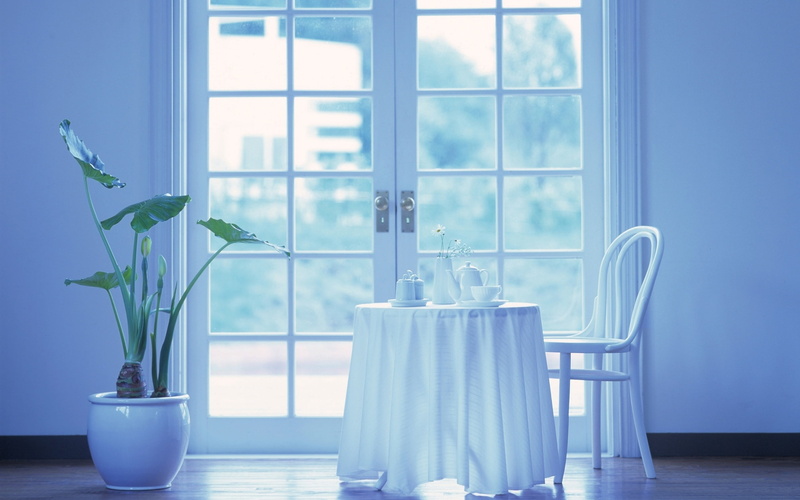 window, glass, room, domestic Room, table, furniture, space, potted plant, chair, nature, living Room, glass - material, houseplant, comfortable, flower pot