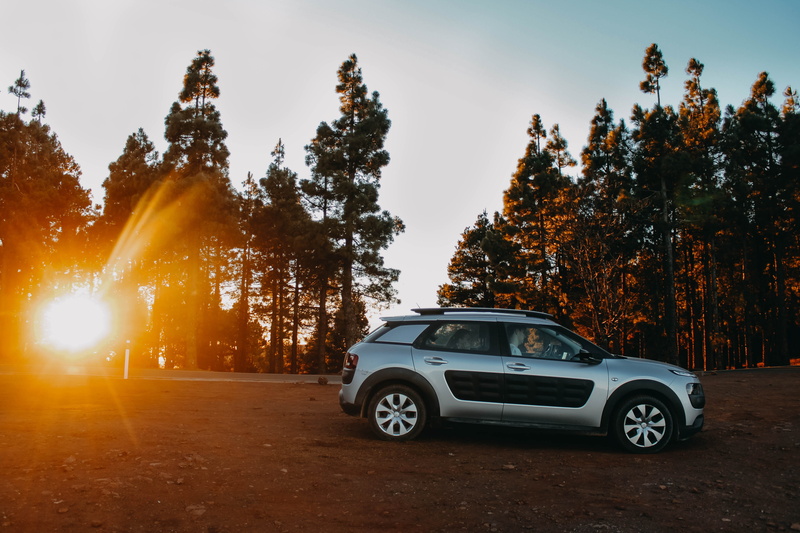 transportation, sunset, sky, grey, across, luxury, day, no people, change, non-urban scene, 4K, silver, parked, land, autumn, road, plant, citroen, forest