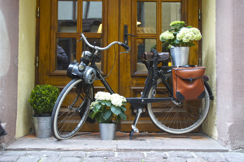 step, cruiser, plant, built structure, mode of transport, bicycle, leaning, building, wheel, flower, growth, no people, land vehicle, photo, entrance door
