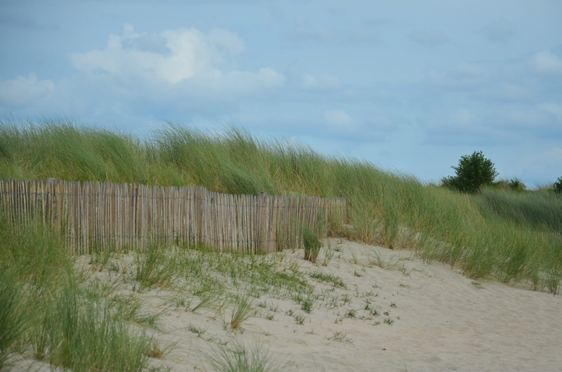 land, scenics - nature, landscape, beauty in nature, non-urban scene, reed, fence, boundary, beach, dunes, france, day, sky, wind, tranquil scene, nature