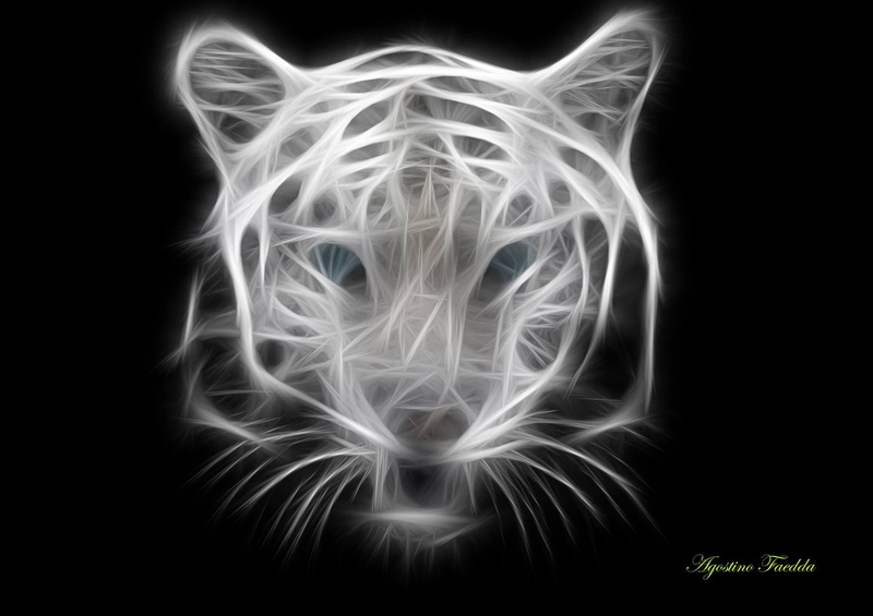 pattern, swirl, abstract, healthcare and medicine, illuminated, nature, black background, tiger, burning, studio shot, wildlife, mystery, 1080P, motion