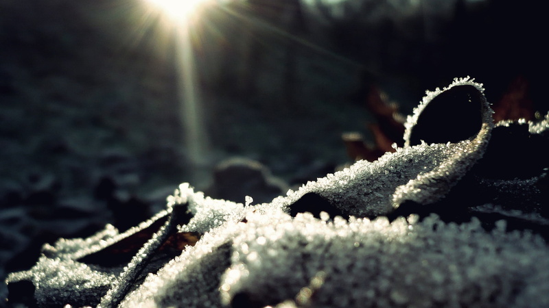 light, luster, ice Crystal, surface, sunlight, season, nature, frozen, beauty In Nature, cold temperature, close-up, frost, macro, snow, sunbeam, plant part