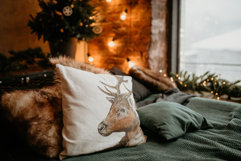 room, mammal, tree, domestic, one animal, blanket, bed, christmas, bedroom, indoors, brown, throw, string light bulb, animal, holiday, landscape, home interior