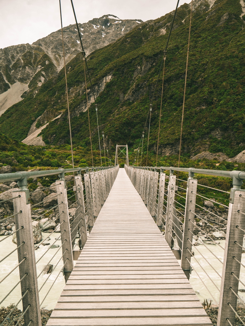 housing, port, staircase, day, connection, 4K, path, boardwalk, tree, scenics - nature, walkway, building, bridge, nature, water, nz, pier, land, dock