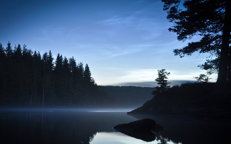 pine trees, blue, plant, growth, silhouette, land, scenics - nature, water, calm, nature, evening, trees, sky, no people, day, 1080P, tree, outdoors, reflection