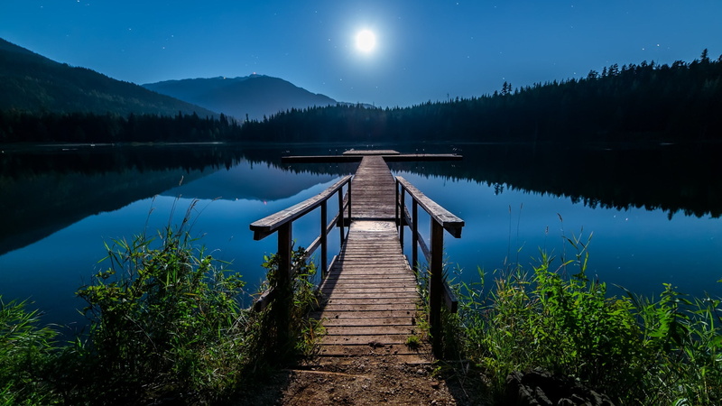 non-urban scene, direction, brown, Moon, stars, pine trees, tranquil scene,  dawn, wood - material, 1080P, no people, calm, outdoors, the way forward