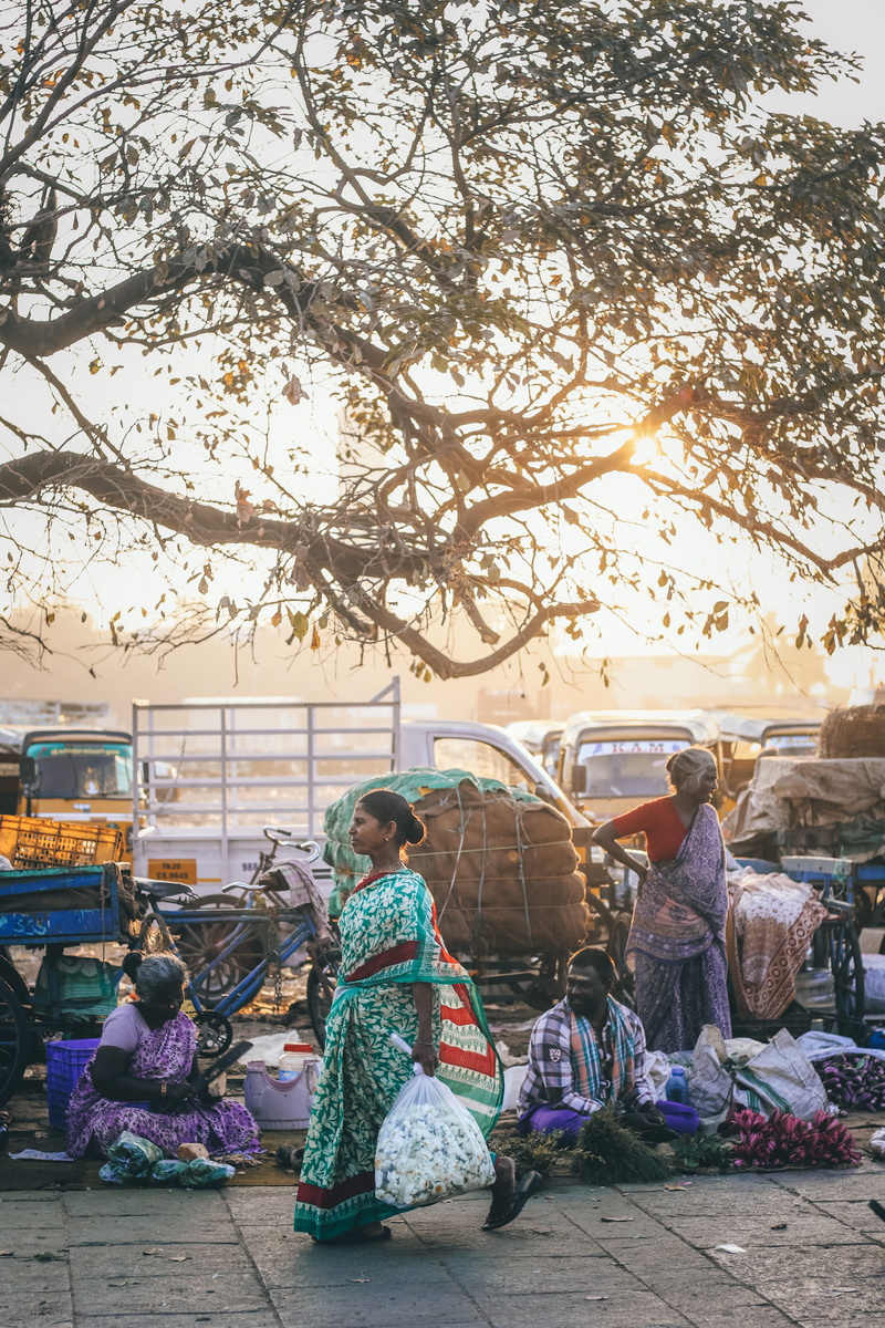road, indian dress, beside, red, koyambedu, market, leisure activity, wearing, full length, small business, market vendor, sari, streetphotography, plant