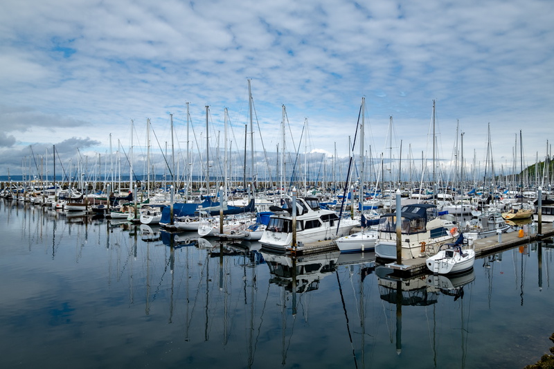 waterfront, day, pnw, shilshole, sky, seattle, nature, reflection, washingtonstate, beautiful, sailboat, marina, transportation, washington