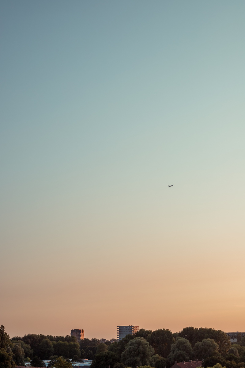 view, built structure, building exterior, scenics - nature, one animal, animal themes, bird, tree, nature, architecture, netherlands, flying, clear sky