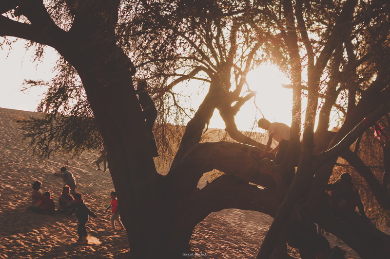 pic, day, land, sunset, huacachina, peru, nature, childrens, sunlight, lens flare, warmpic, tranquility, camera, canon, android, growth, landscape
